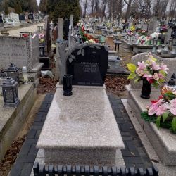img0250201 wa0004